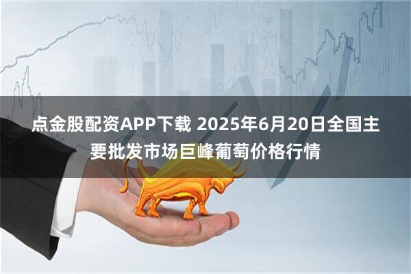 点金股配资APP下载 2025年6月20日全国主要批发市场巨峰葡萄价格行情