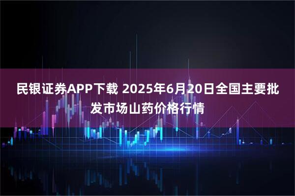 民银证券APP下载 2025年6月20日全国主要批发市场山药价格行情