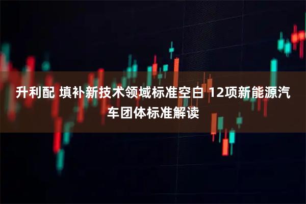 升利配 填补新技术领域标准空白 12项新能源汽车团体标准解读