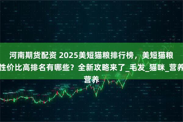 河南期货配资 2025美短猫粮排行榜，美短猫粮性价比高排名有哪些？全新攻略来了_毛发_猫咪_营养