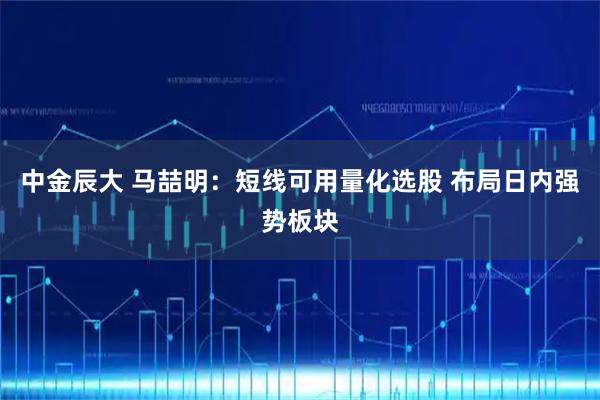中金辰大 马喆明：短线可用量化选股 布局日内强势板块