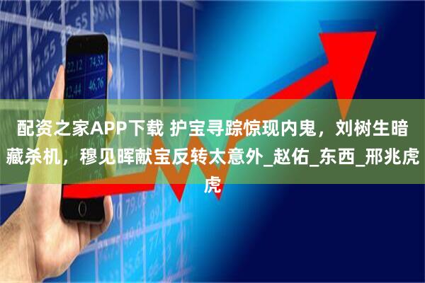 配资之家APP下载 护宝寻踪惊现内鬼，刘树生暗藏杀机，穆见晖献宝反转太意外_赵佑_东西_邢兆虎